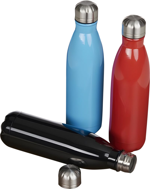 Garrafa Inox 750ml