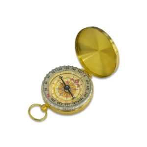 Bússola Analógica