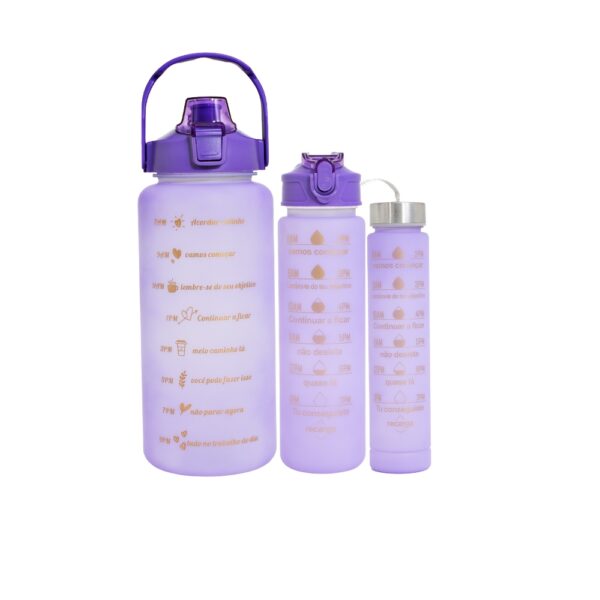 Kit 3 Garrafas - Imagem 6